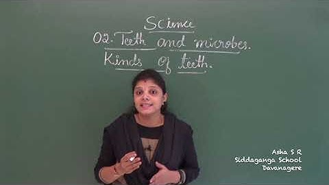 CBSE 4 - SCIENCE - TEETH AND MICROBES - PART 2