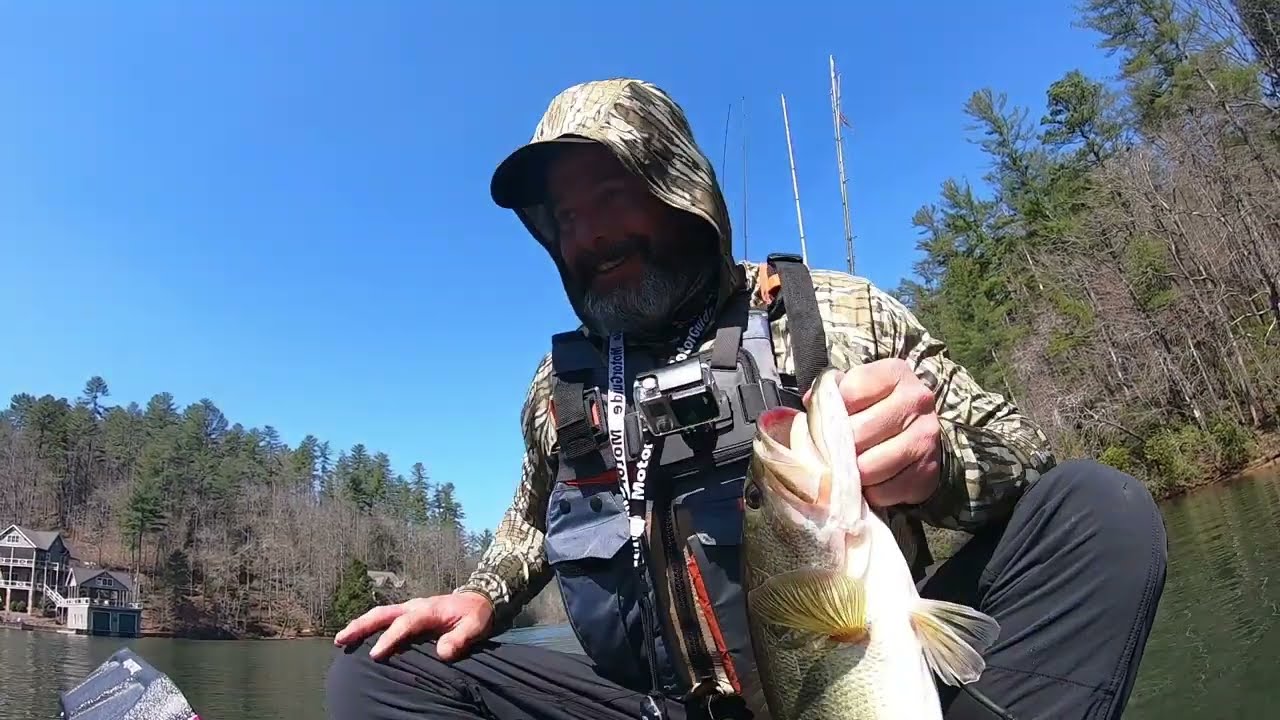 Big Bass Weird Vibe