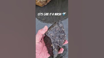 Enormous Ammonite Fossil fragment! 🪨🌀 #fossilhunting #fossils #shorts #rock #beach #sea #coast