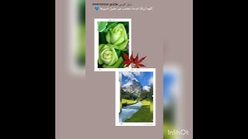 (سورة الإخلاص) كامله ||أرح سمعك||💜💙