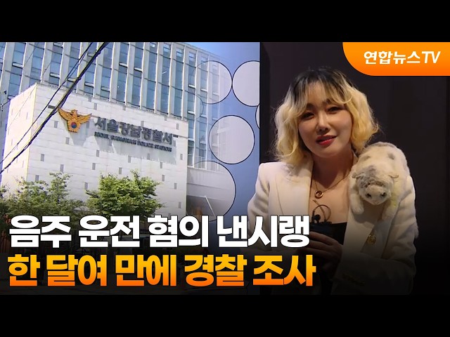 음주 운전 혐의 낸시랭, 한 달여 만에 경찰 조사 / 연합뉴스TV (YonhapnewsTV)