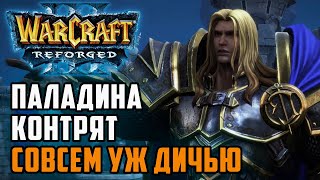 :    : Franzyzz (Orc) vs Toxi (Hum) Warcraft 3 Reforged