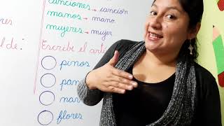 Clase Número del Sustantivo (Singular y Plural) para niños.