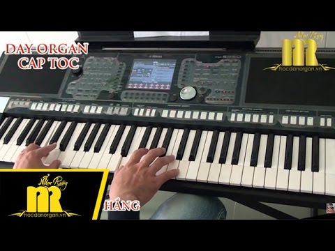 Học Đàn Organ Cấp Tốc TPHCM - CÁT BỤI - Trung Tâm Nhạc Rừng - youtube