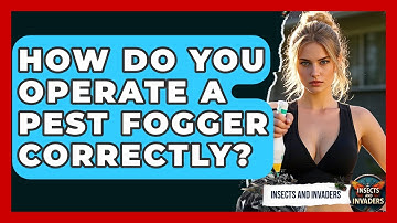 How Do You Operate A Pest Fogger Correctly? - Insects and Invaders