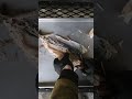 How to debone our Smoked Rainbow Trout 🍴🐟🔥 #smoked #smokedfish