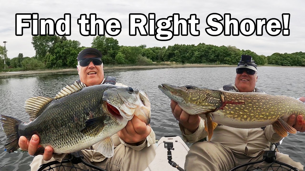 Find the Right Shore and Find the Fish (Big Fish)