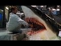 Top 10 Shark Movies
