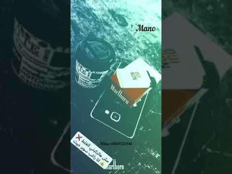 السيد حسن افندينا انا عجبي علي موزه بيضه حلوه واسمها جملات صدي صوت