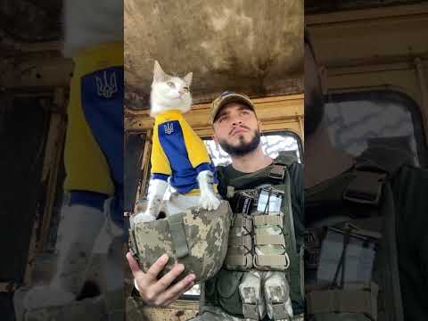 #ukraine🇺🇦 #war #kittens #cat #tacticalcat #soldier #animals #Puck #зсу #війна #україна #Шайба #cat