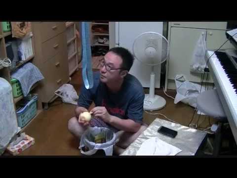 青春のいじわる（菊池桃子のｶﾊﾞｰ）中岡伸広