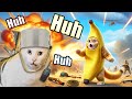 Stupid huh cat save banana cat from the mine trap