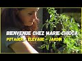 Un fabuleux jardin en permaculture  marie chioca