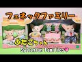 【 フェネックファミリー】4月9日発売 赤ちゃん ふたごちゃん シルバニアファミリー【SylvanianFamilies】【CalicoCritters】【森林家族】Unboxing