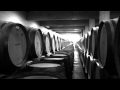 Glenelly grand vin de glenelly  voyageurs du vin