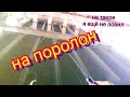 Силикон не нужен-ловлю на поролон.neoline 0.1-2.