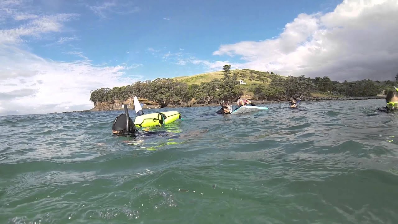 Dive into Adventure Goat Island YouTube