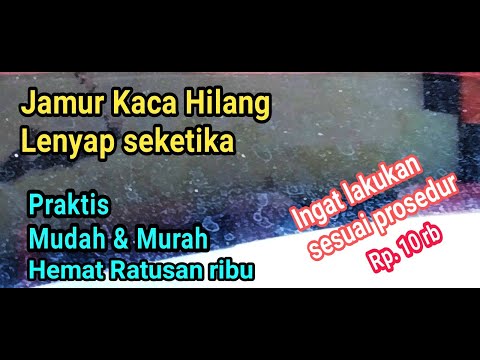 Video: Jamur di jendela: penyebab, metode, dan solusi