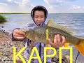 Carp Fishing, Карповая рыбалка на секретном озере, рыбалка в Казахстане.