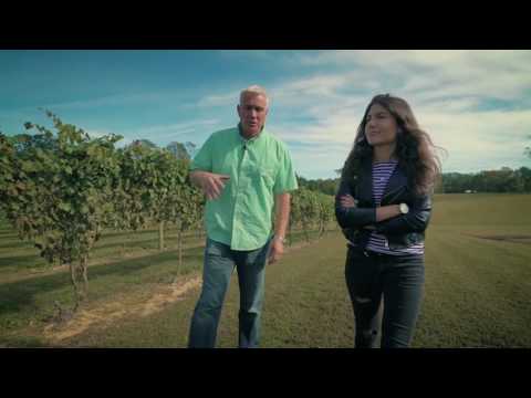 Видео: Petit Manseng от Horton Vineyard официально признано лучшим вином в Вирджинии