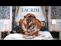Lacrim - Maladie feat Soolking [PAROLES]