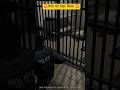 Police को चकमा दिया 🚨🤯#gta #gtaonline #viralvideo #gtaLSPD #gtapolicerp