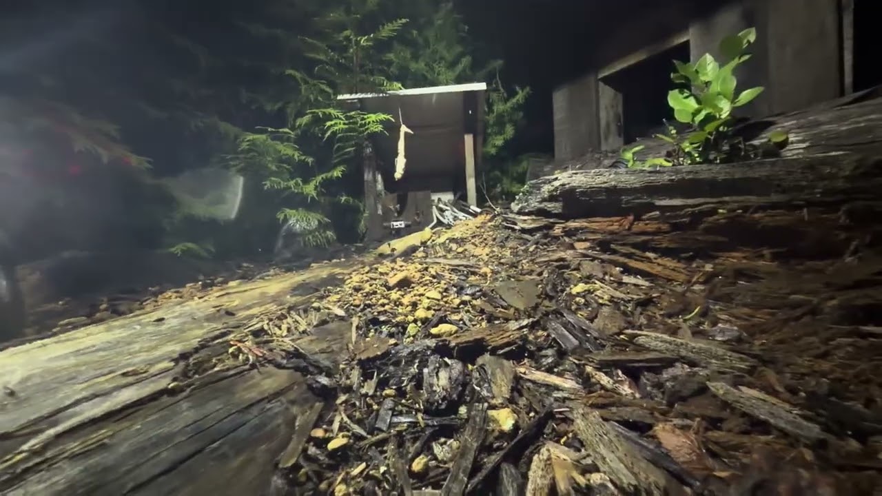 TRAXXAS TRX4’s just hanging out on the HUMP!!! 