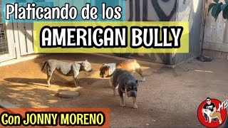 Charla de AMERICAN BULLY, con Jonny Moreno!!