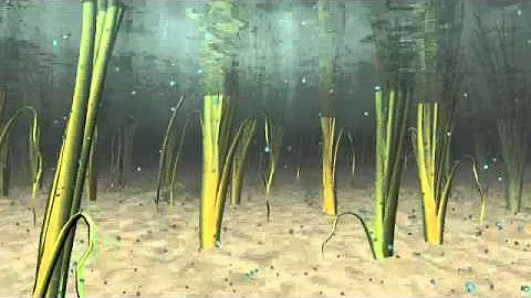 Everglades Restoration Wetlands | Everglades Restoration | 212-789-9077