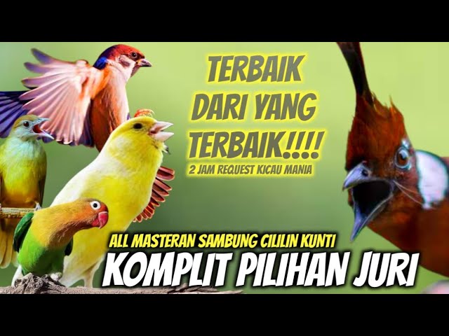 MASTERAN KOMPLIT KAWAL BAHAN KICAU || SEMUA MASTERAN  SAMBUNG CILILIN KUNTI PANJANG JERNIH class=