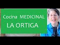 COCINA MEDICINAL: Cocinando una planta salvaje saludable - La Ortiga