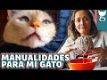 MANUALIDADES PARA MI GATO FÁCILES Y ECONÓMICAS 😻 LA GATERÍA TV