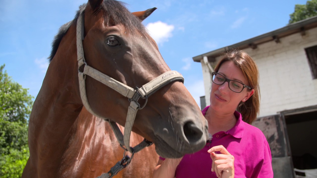 Balance Board YouTube