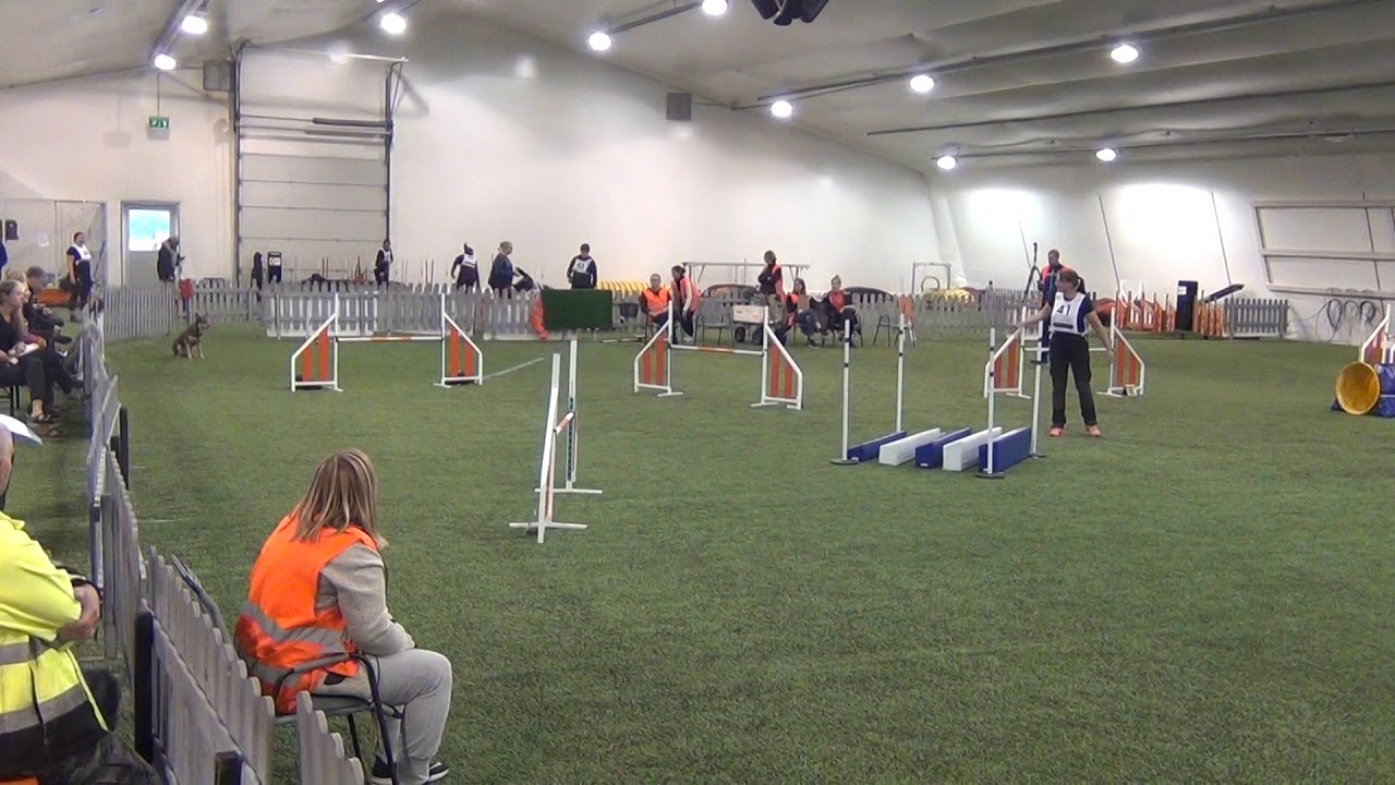 Vekara Agility , Kelpie , Myytti