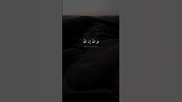 #القرآن #اكسبلور #القزابري #لايك #العظماء #آيات_القرآن #ترند #الثامن #دويتو #تيك_توك #ياسر_الدوسري