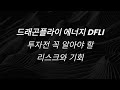 드래곤플라이 에너지 DFLI 투자 전에 꼭 알아야 할 이슈와 리스크