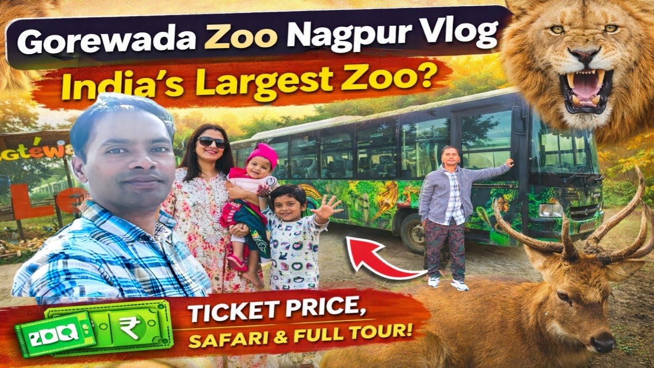 Gorewada Zoo Nagpur Vlog 🦁 | India’s Largest Zoo? Ticket Price, Safari & Full Tour