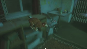 Stray weird scratch bug