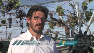 MECANIZAN LA COSECHA EN PARRAL