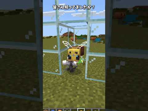 ハチの秘密 #shorts  #マインクラフト #minecraft