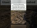 Argentina reveals how giant sauropods evolved #lifeisbutadream