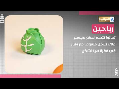 Let's Learn How to Make a Cabbage Model with Nahar in the "Let's Shape" Segment