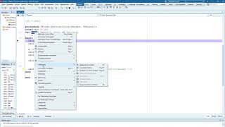 Debugger unter Delphi 10