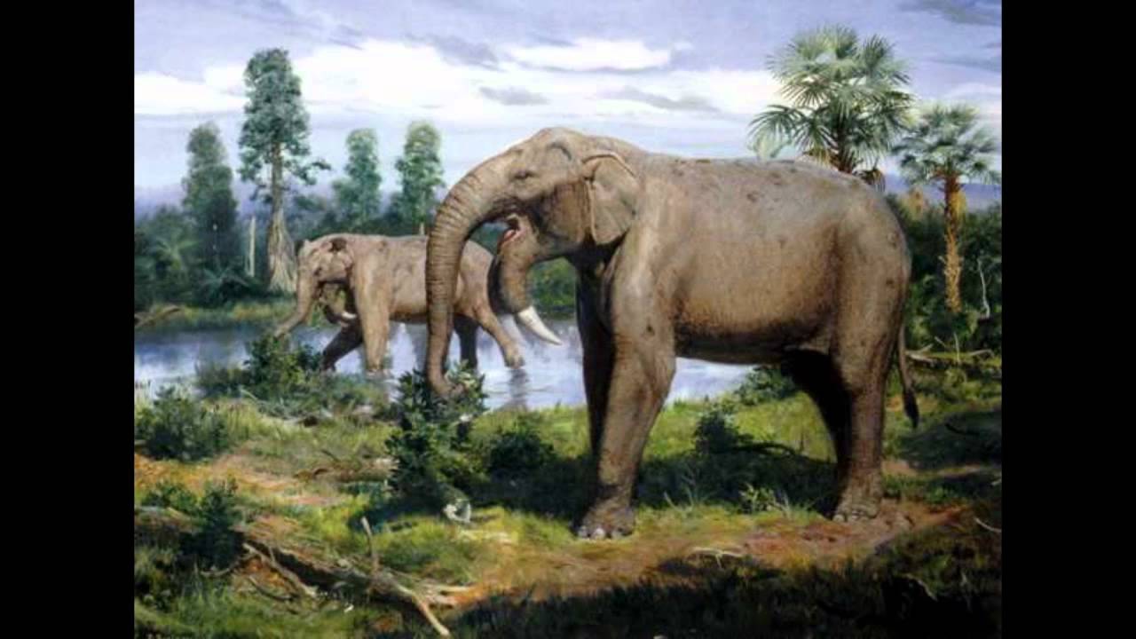 Are Elephants Mammals >> Top 10 Prehistoric Mammal Herbivores - YouTube Are Elephants Mammals >> Top 10 Prehistoric Mammal Herbivores - YouTube