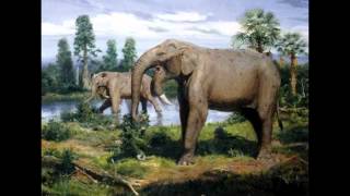 Top 10 Prehistoric Mammal Herbivores