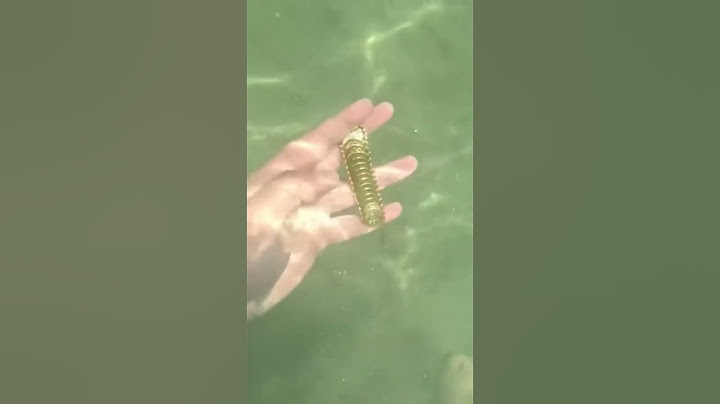 Denizde dedektörle Altın Koluk Buldum !!