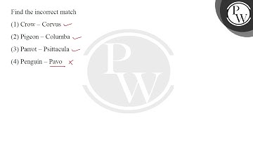 Find the incorrect match....