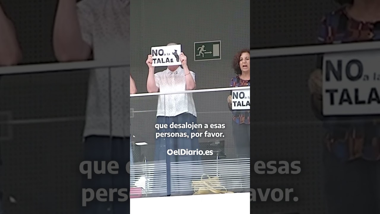 🌳 Vecinas protestan por la #tala de #árboles y son desalojados del Ayuntamiento de #Madrid #shorts