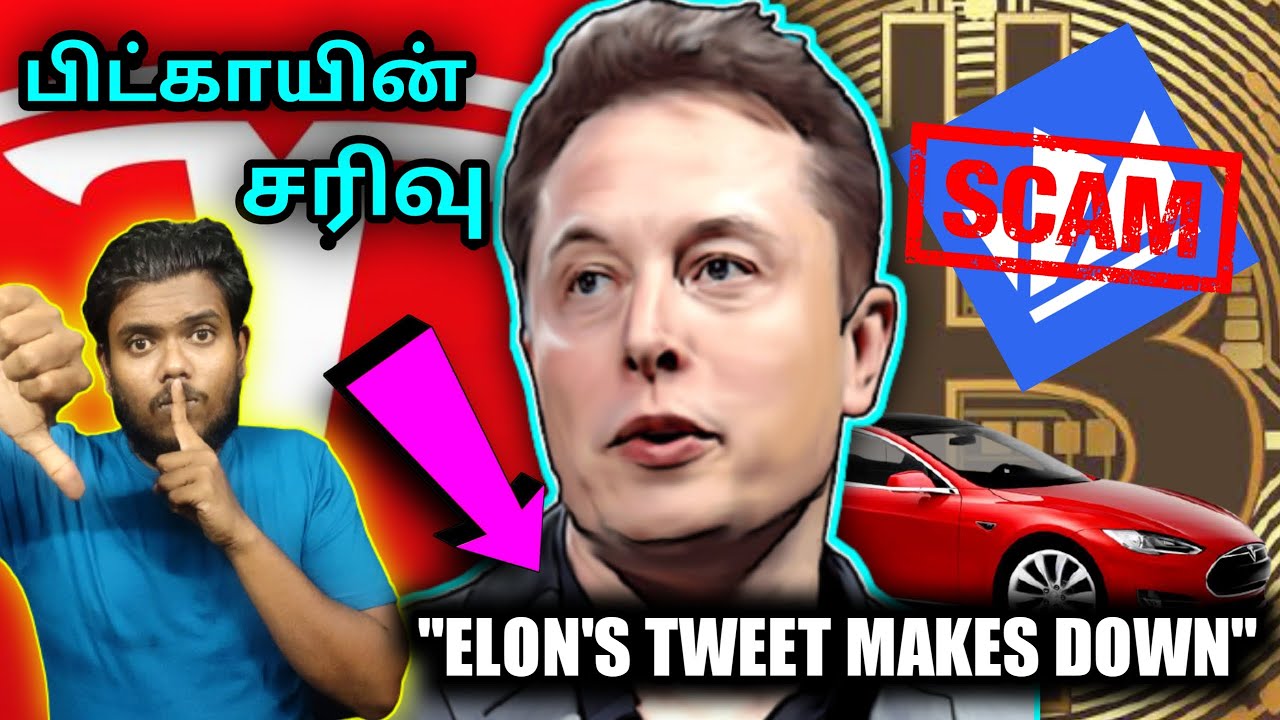 Elon Musk Crash BITCOIN//Wazrix Scam😡//bitcoin Next Move - Tamil Crypto Tech