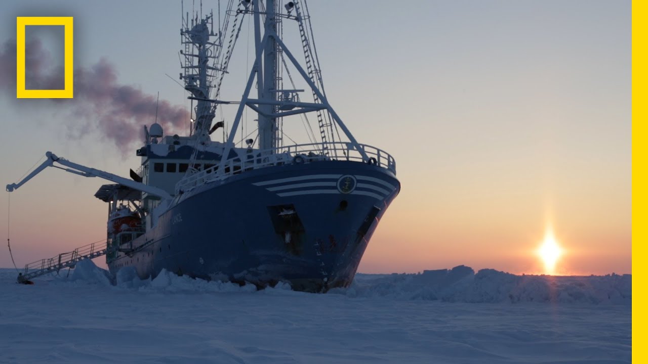 Drifting With the Ice: Life on an Arctic Expedition | National Geographic